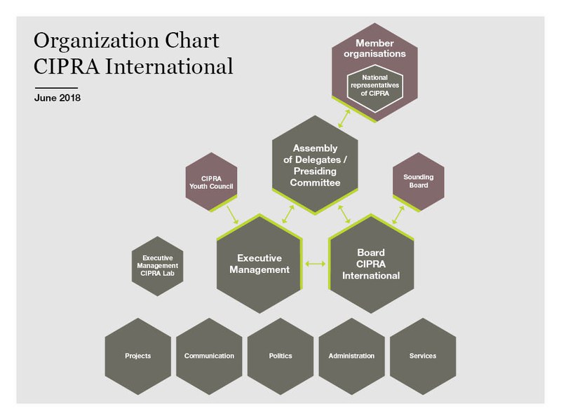 Organization chart
